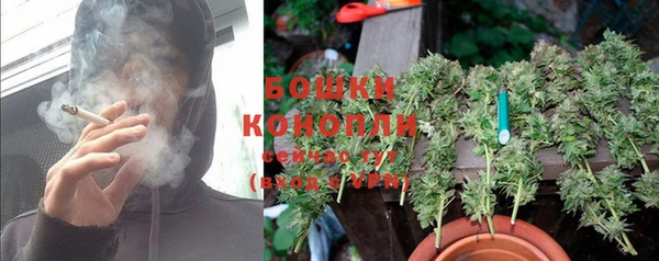 spice Балабаново
