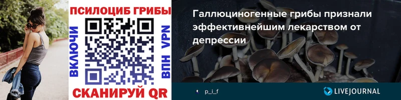 купить наркоту  Белозерск  Галлюциногенные грибы Cubensis 
