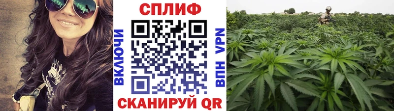 Бошки марихуана марихуана  сколько стоит  Белозерск 
